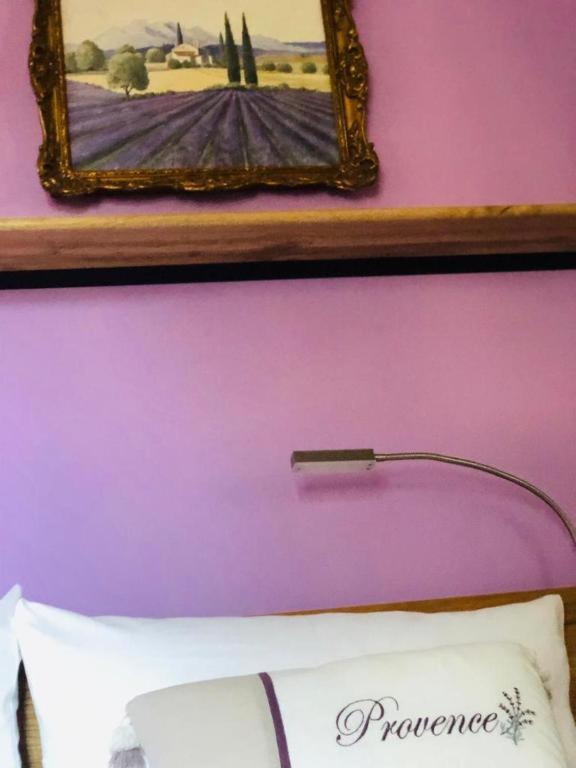 B&B Oasis Des Lavandes - Chambre Coqueliot Вильнёв-ле-Авиньон Экстерьер фото